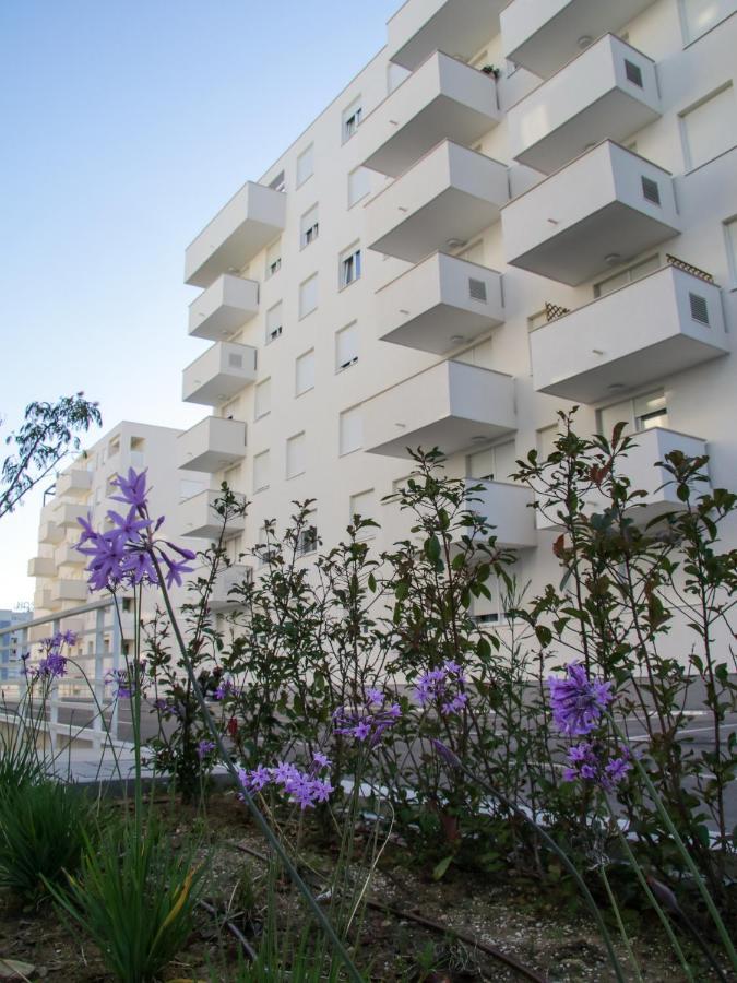 Luce Gold Apartment Zadar Eksteriør bilde