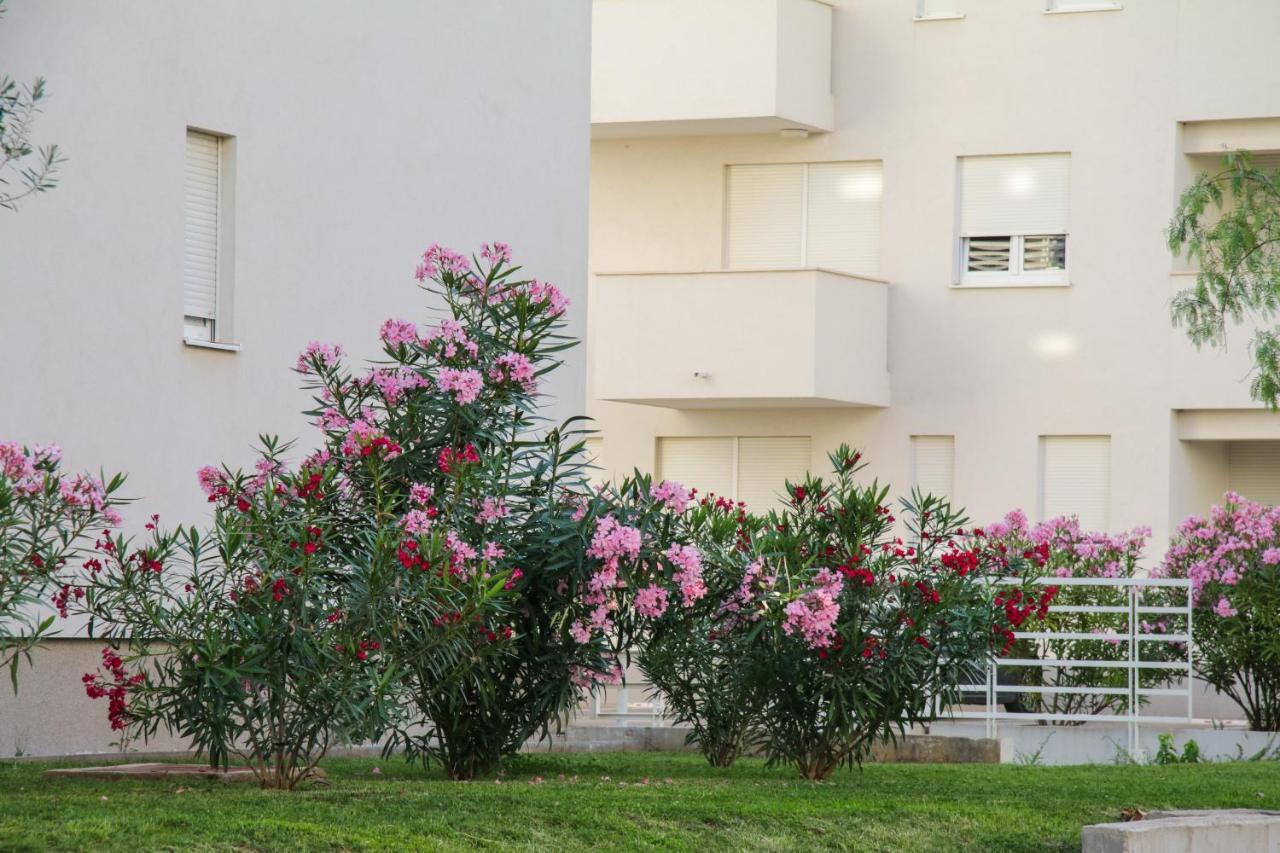 Luce Gold Apartment Zadar Eksteriør bilde